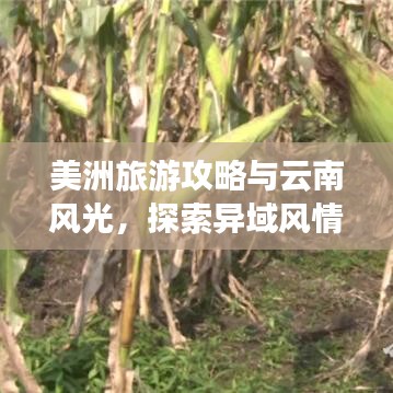美洲旅游攻略与云南风光,探索异域风情与体验自然美景的双重魅力