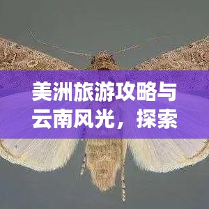 美洲旅游攻略与云南风光,探索异域风情与体验自然美景的双重魅力