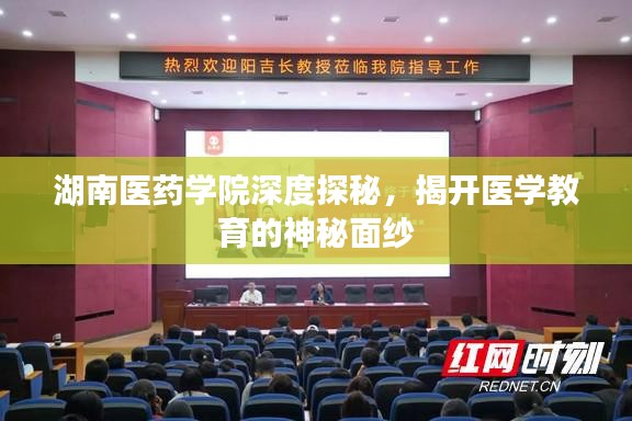 改弦易张 第2页