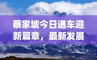 蔡家坡今日通车迎新篇章,最新发展动态一览