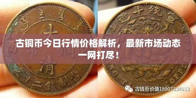 古铜币今日行情价格解析,最新市场动态一网打尽!