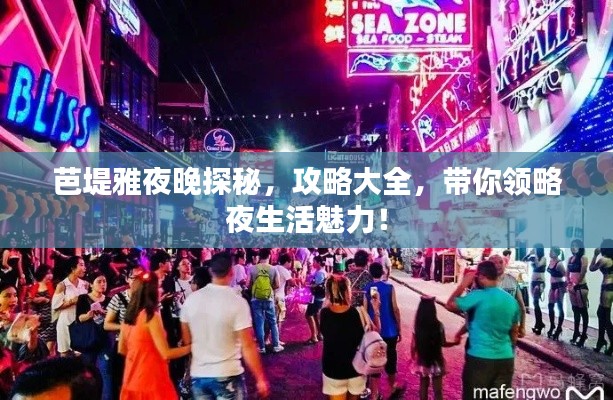 芭堤雅夜晚探秘,攻略大全,带你领略夜生活魅力!
