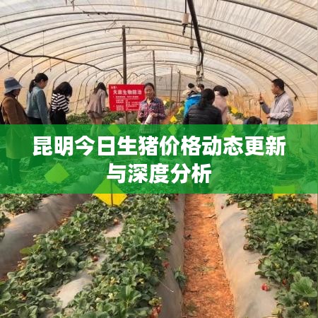 春雨贵如油 第2页