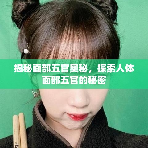 揭秘面部五官奥秘,探索人体面部五官的秘密