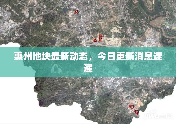 死而后已 第2页