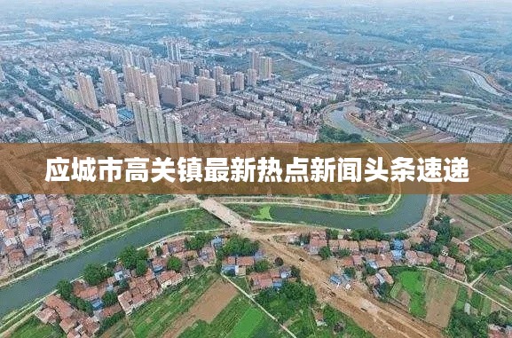 应城市高关镇最新热点新闻头条速递