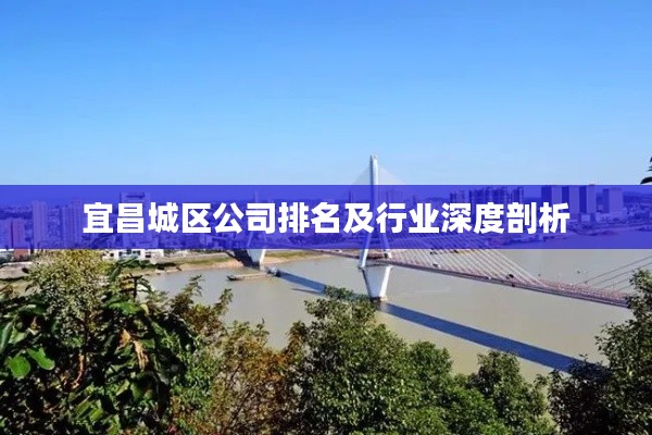 宜昌城区公司排名及行业深度剖析