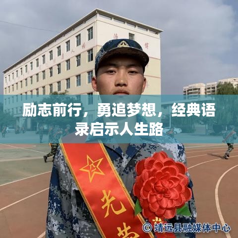 展翅欲飞 第2页