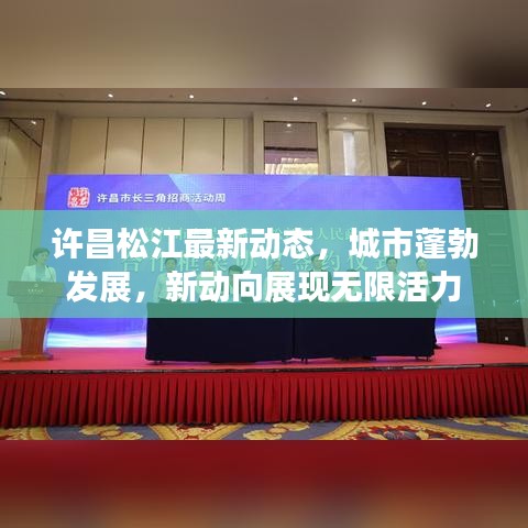 橘虞初梦 第2页