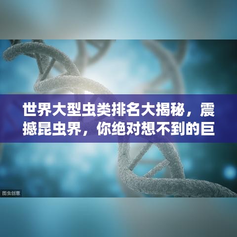 惊弓之鸟 第2页
