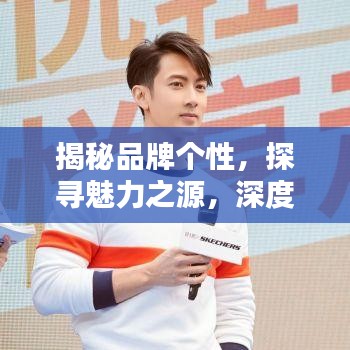 揭秘品牌个性，探寻魅力之源，深度解析品牌魅力的核心要素