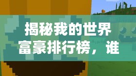 揭秘我的世界富豪排行榜,谁独占鳌头?