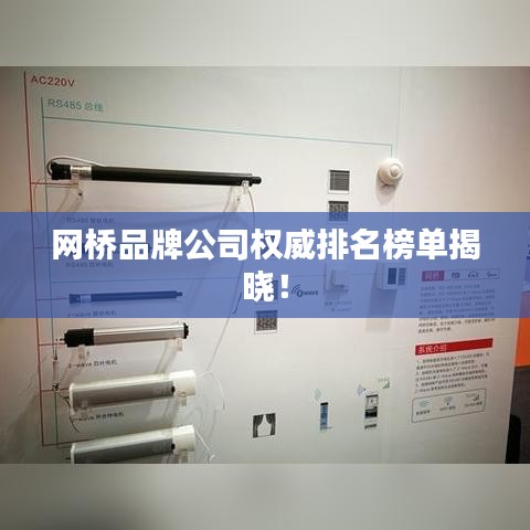 网桥品牌公司权威排名榜单揭晓!