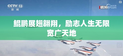 鲲鹏展翅翱翔,励志人生无限宽广天地