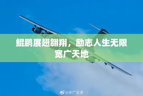 鲲鹏展翅翱翔,励志人生无限宽广天地