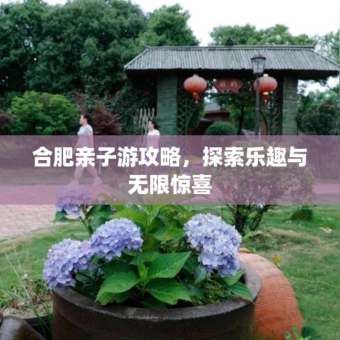 合肥亲子游攻略,探索乐趣与无限惊喜