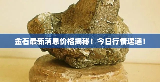 金石最新消息价格揭秘!今日行情速递!