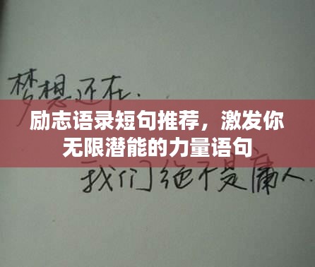 神采飞扬 第2页