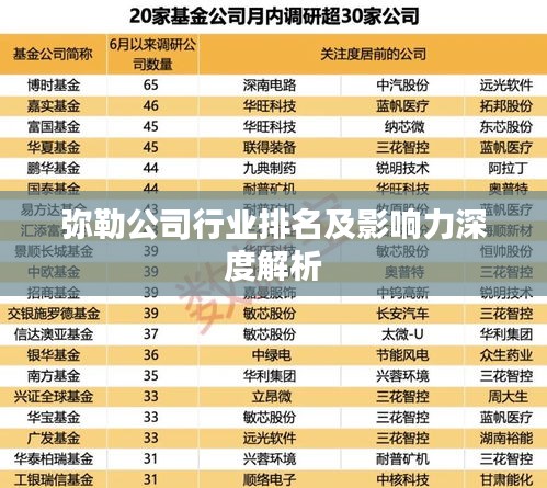 弥勒公司行业排名及影响力深度解析