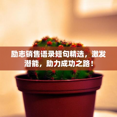 励志销售语录短句精选,激发潜能,助力成功之路!