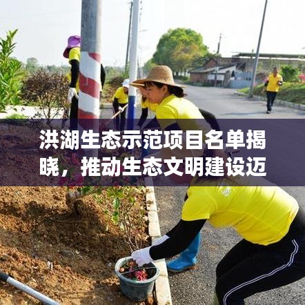 洪湖生态示范项目名单揭晓,推动生态文明建设迈上新台阶