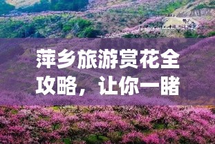 萍乡旅游赏花全攻略,让你一睹花海美景!