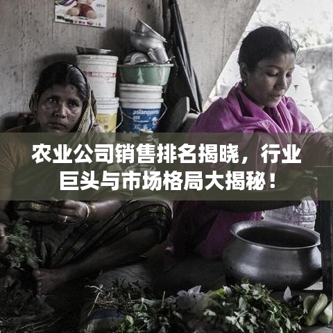 关于我们 第65页