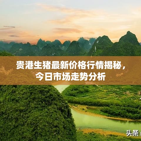 心得分享 第60页
