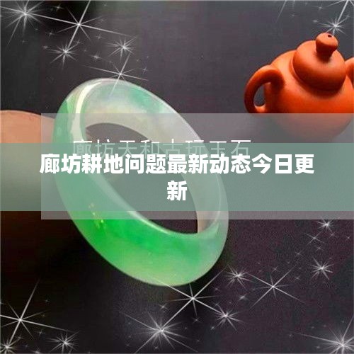 廊坊耕地问题最新动态今日更新