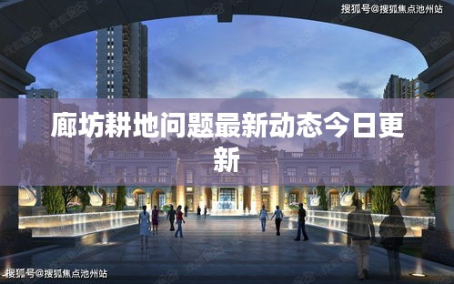 廊坊耕地问题最新动态今日更新