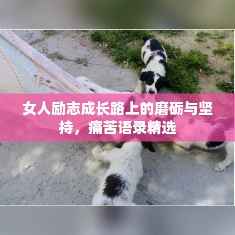 女人励志成长路上的磨砺与坚持,痛苦语录精选