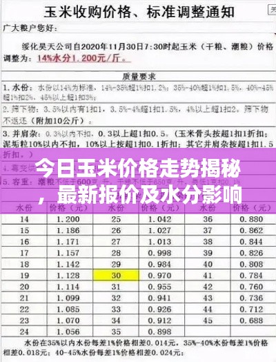 今日玉米价格走势揭秘,最新报价及水分影响分析