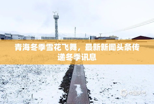 衣不完采