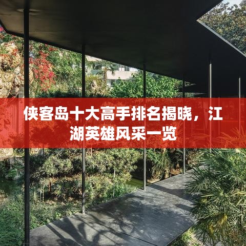 侠客岛十大高手排名揭晓,江湖英雄风采一览