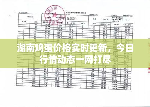 2025年4月 第18页