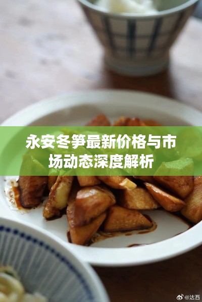 永安冬笋最新价格与市场动态深度解析