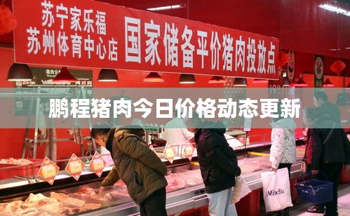 鹏程猪肉今日价格动态更新
