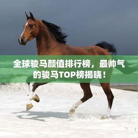 2025年5月7日 第3页