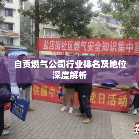 自贡燃气公司行业排名及地位深度解析