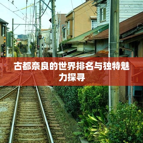 衣不重采