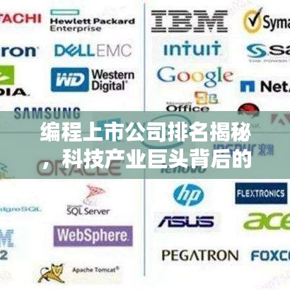 编程上市公司排名揭秘,科技产业巨头背后的力量之源解析!