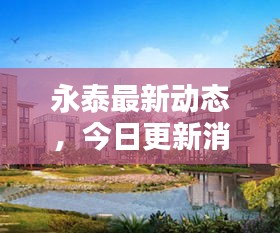 关于我们 第10页
