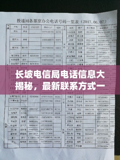 长坡电信局电话信息大揭秘,最新联系方式一网打尽!