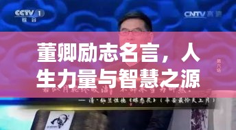 董卿励志名言,人生力量与智慧之源泉