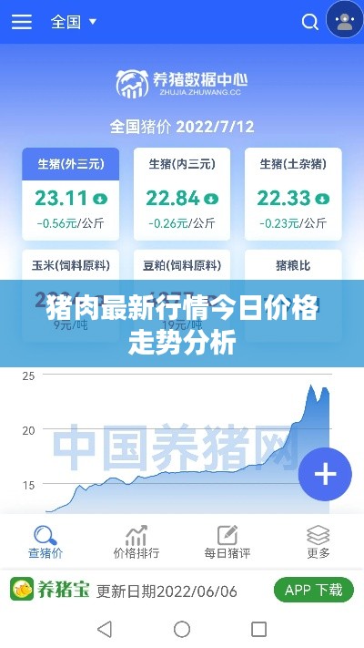 仙风道骨