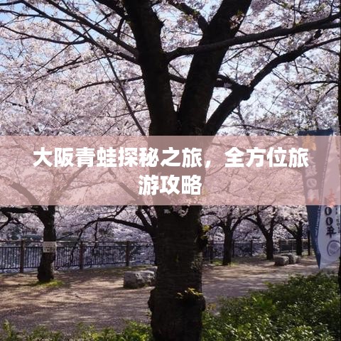 大阪青蛙探秘之旅，全方位旅游攻略