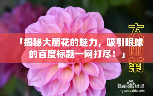 朝飞暮卷