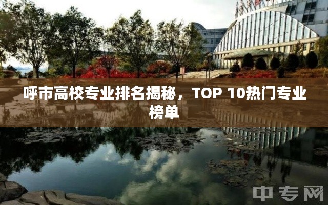 呼市高校专业排名揭秘，TOP 10热门专业榜单