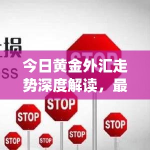 今日黄金外汇走势深度解读，最新分析图助你洞悉市场动态