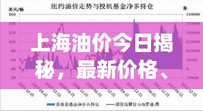 上海油价今日揭秘，最新价格、市场走势及影响因素全解析